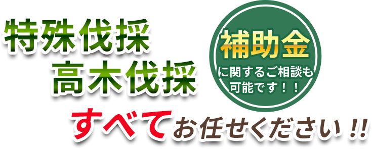 特殊伐採・高木伐採 すべてお任せください!!補助金に関するご相談も可能です!!
